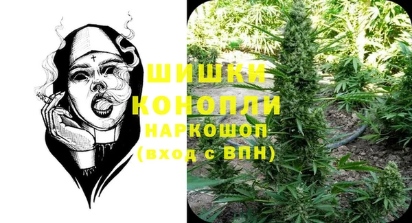 ECSTASY Бородино