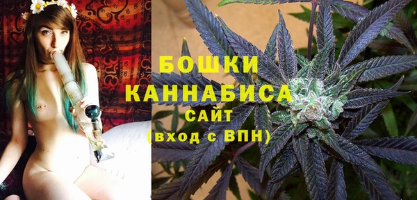 ECSTASY Бородино