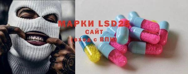 ECSTASY Бородино