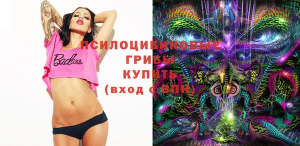 герыч Бронницы