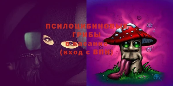 герыч Бронницы