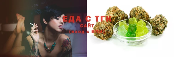 ECSTASY Бородино