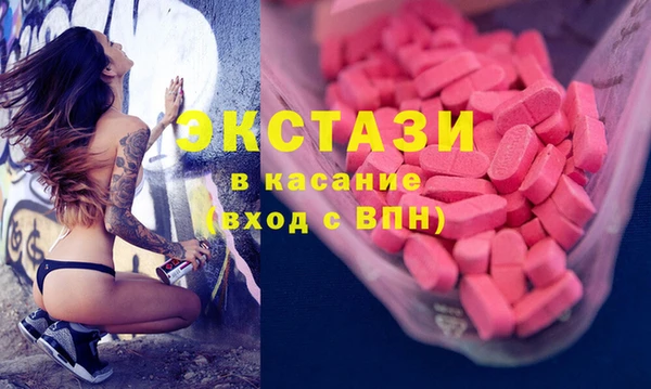 ECSTASY Бородино