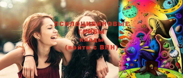 ECSTASY Бородино