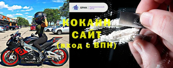 ECSTASY Бородино
