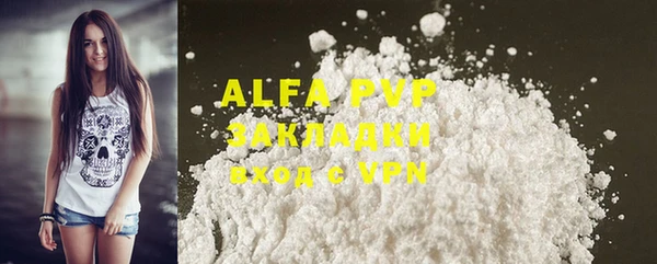 ECSTASY Бородино