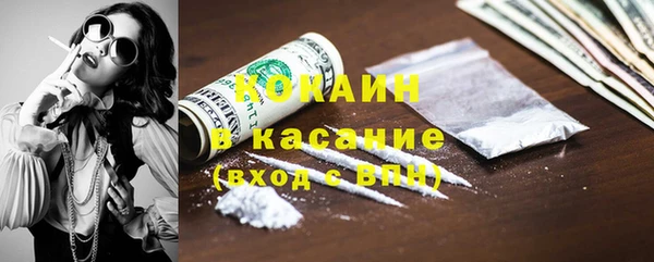 ECSTASY Бородино